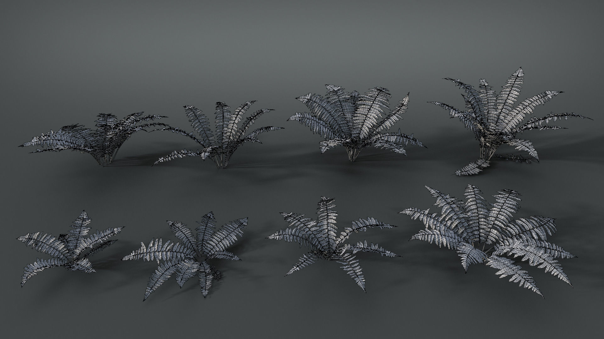 Fern Dryopteridaceae  VFX Grace 3D model_7