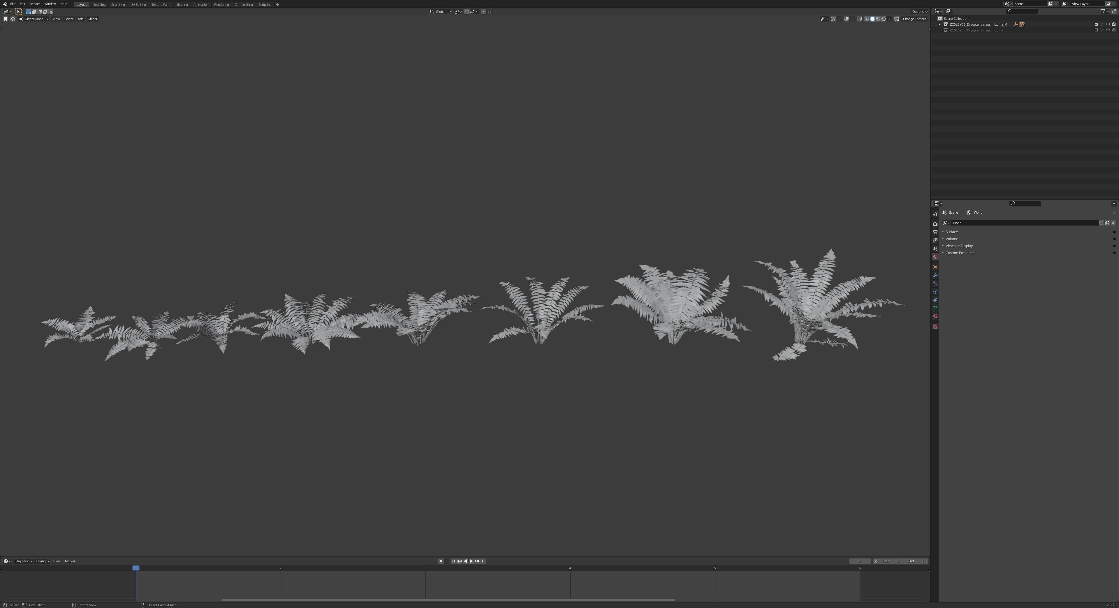 Fern Dryopteridaceae  VFX Grace 3D model_11