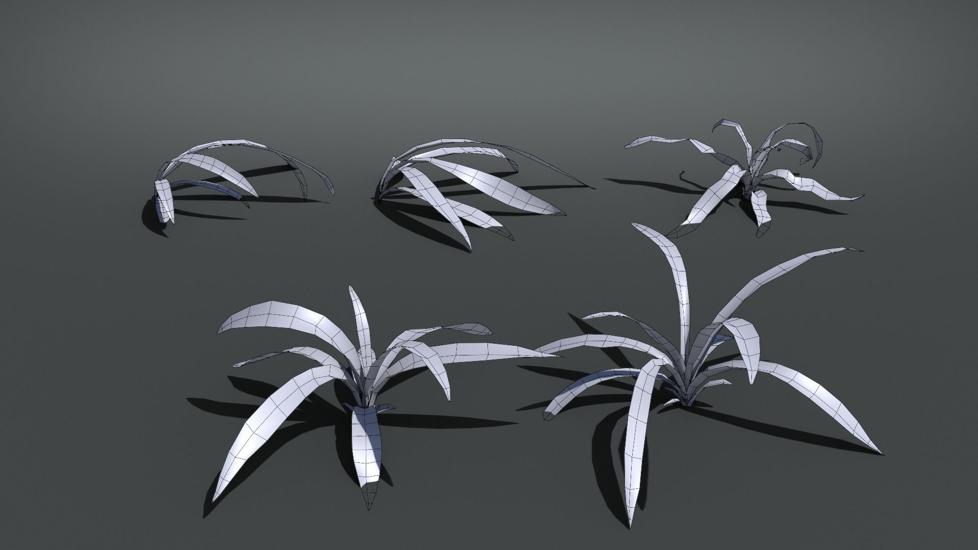 Wild Grass  VFX Grace Low-poly 3D model_10