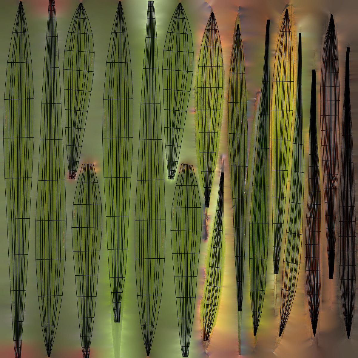 Wild Grass  VFX Grace Low-poly 3D model_14