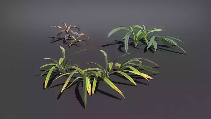 Wild Grass  VFX Grace Low-poly 3D model