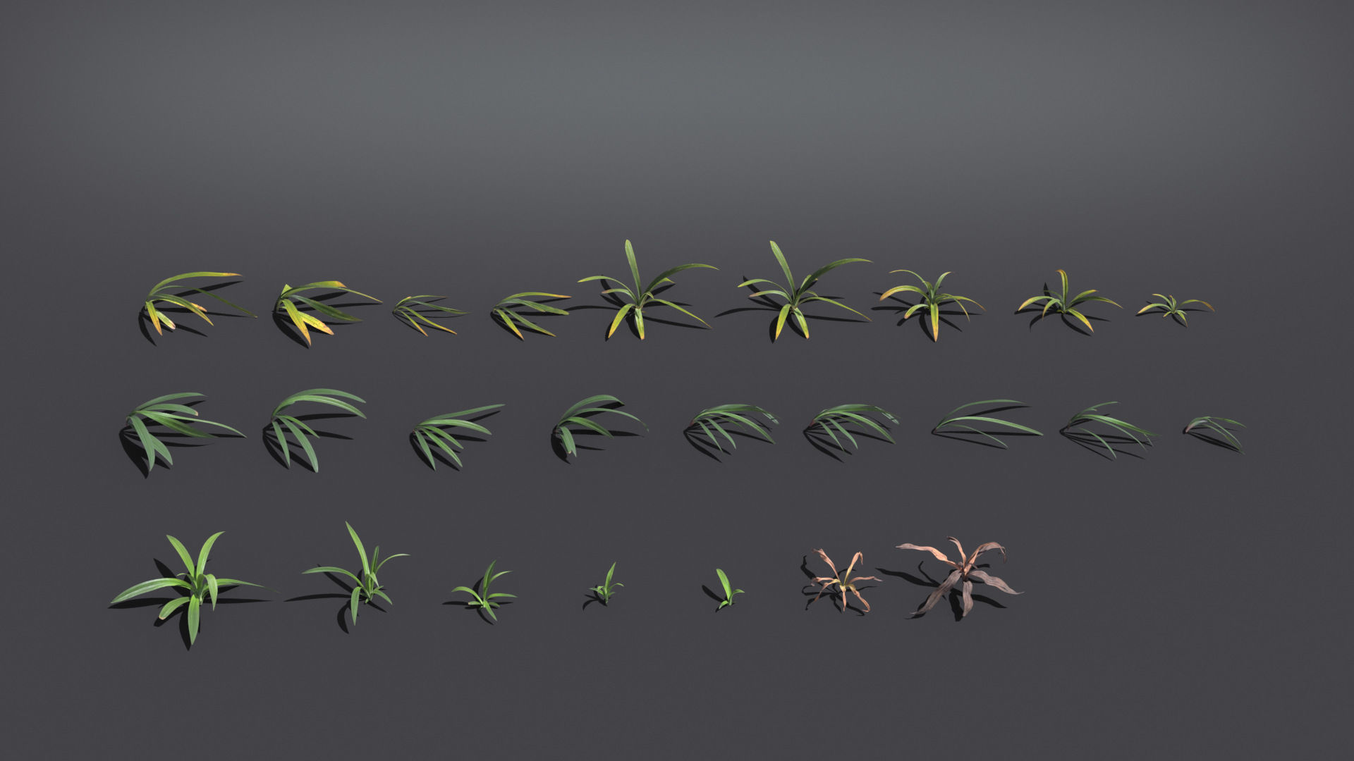 Wild Grass  VFX Grace Low-poly 3D model_2