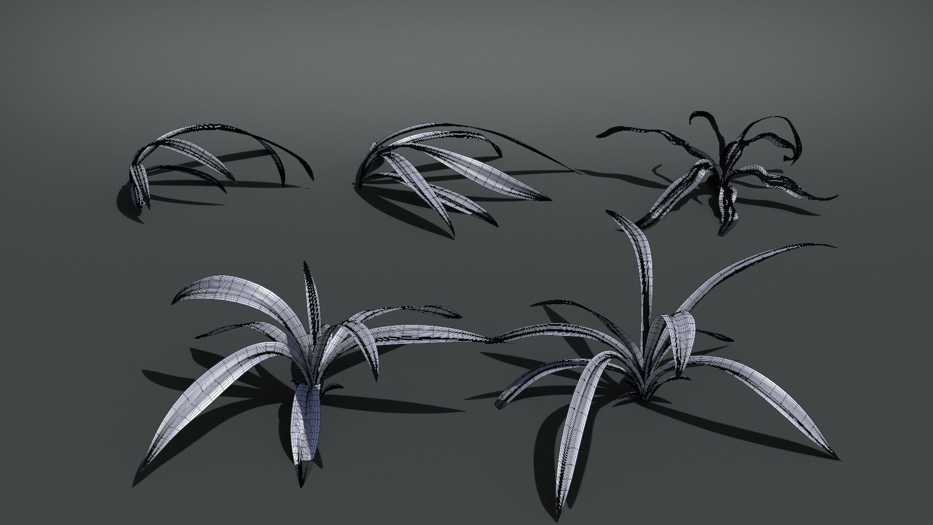 Wild Grass  VFX Grace Low-poly 3D model_8