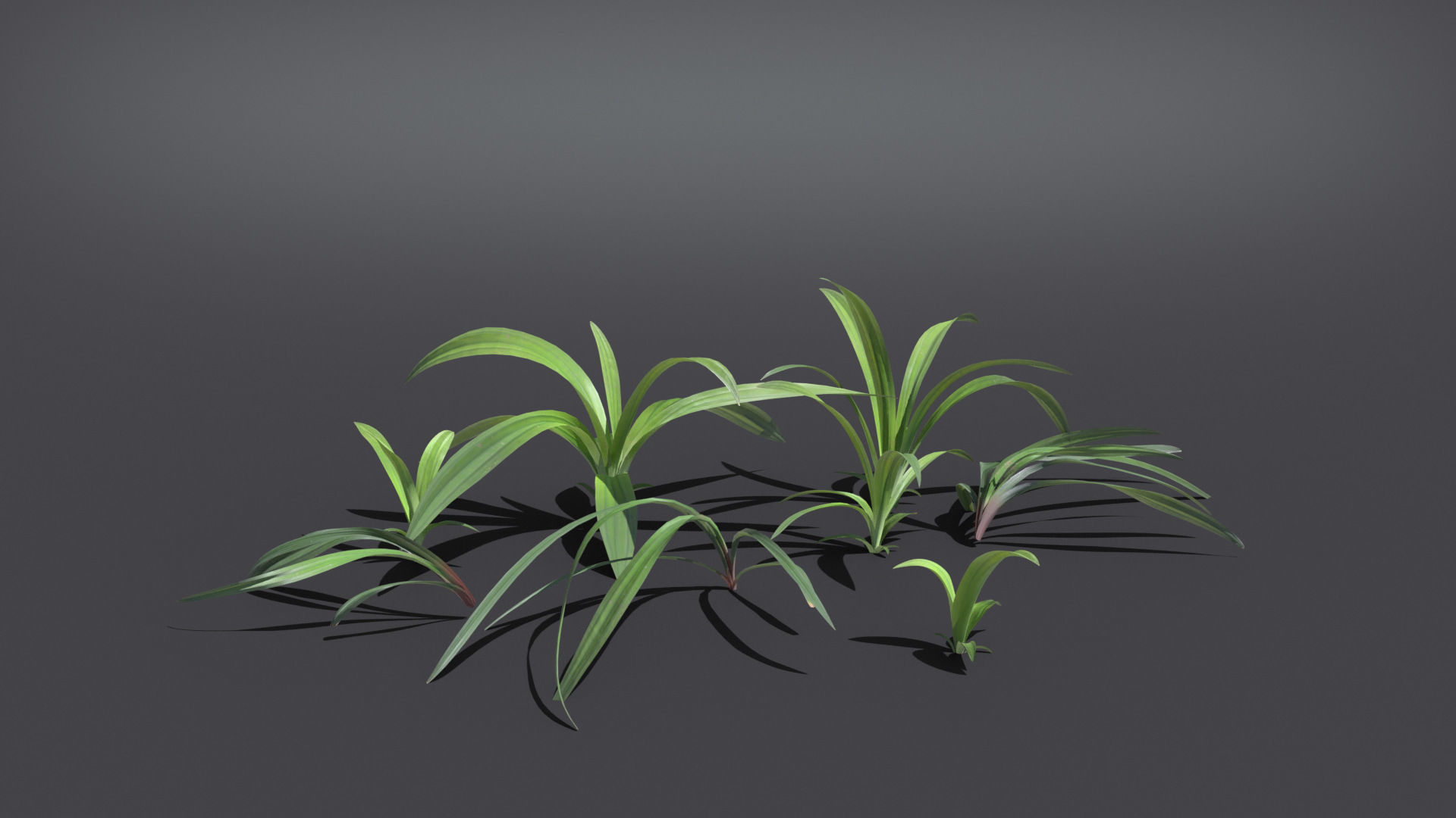 Wild Grass  VFX Grace Low-poly 3D model_5