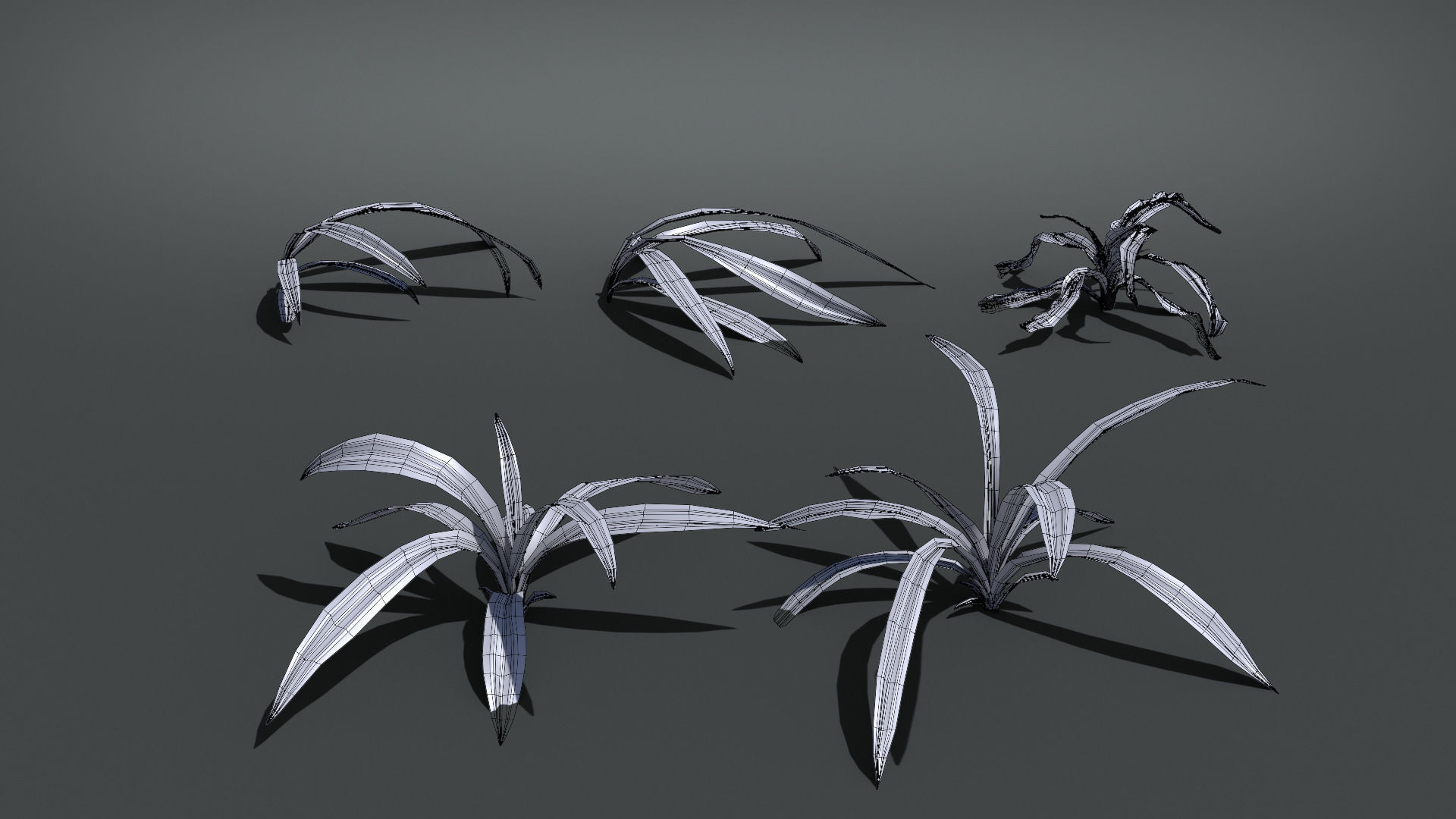 Wild Grass  VFX Grace Low-poly 3D model_12