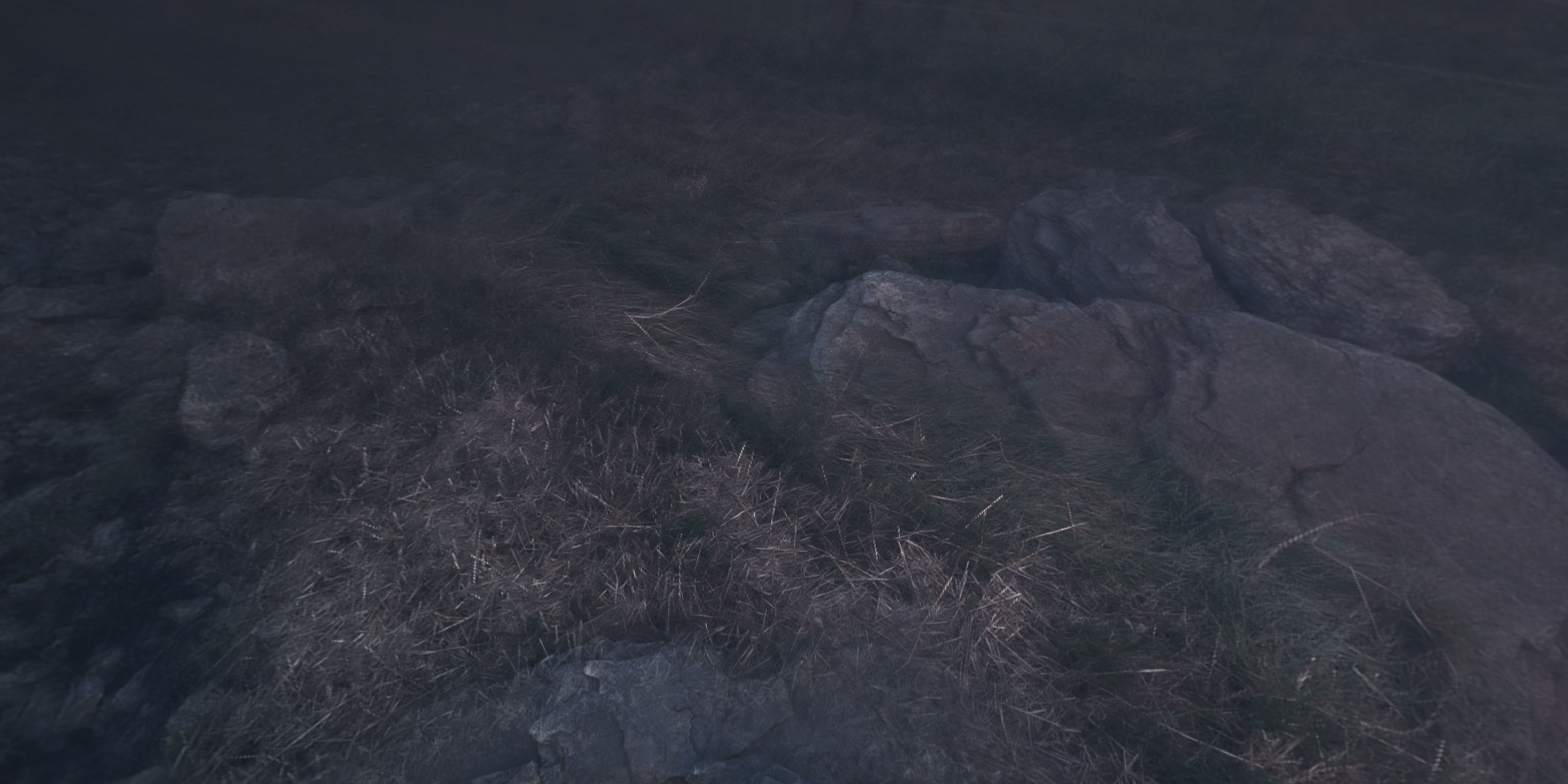 Space Land - HDRI Panoramic Sky - 360 landscape Low-poly 3D model_10