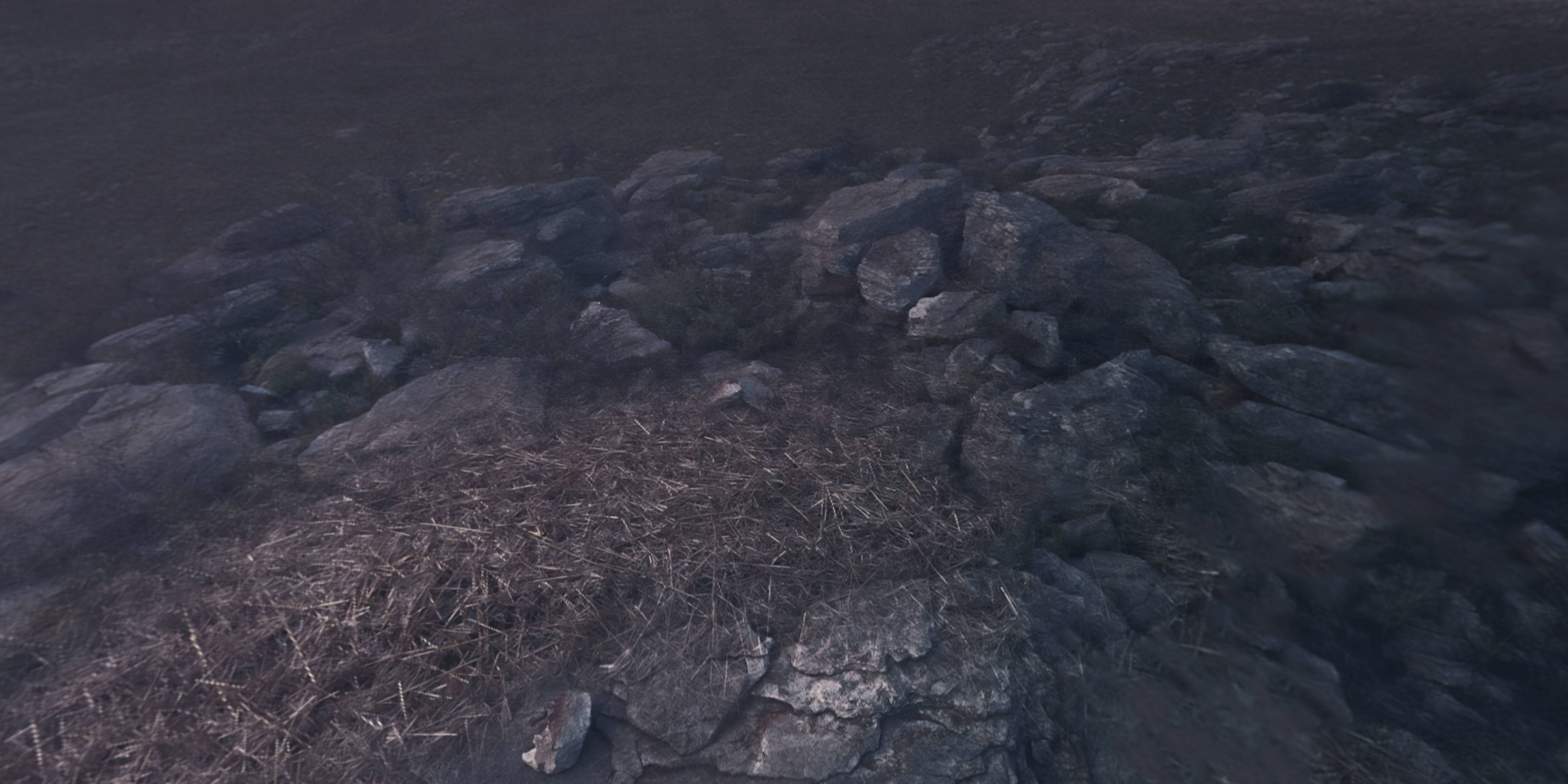 Space Land - HDRI Panoramic Sky - 360 landscape Low-poly 3D model_11