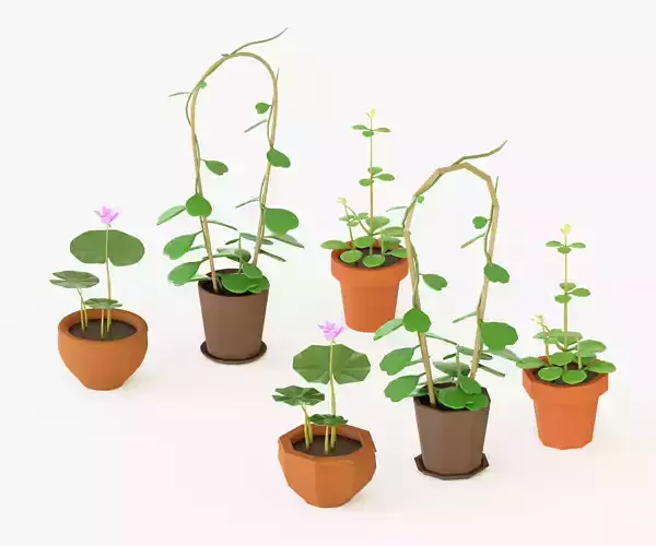 Asset cartoon houseplant