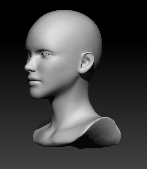 Female head pack 3D Model Collection_34