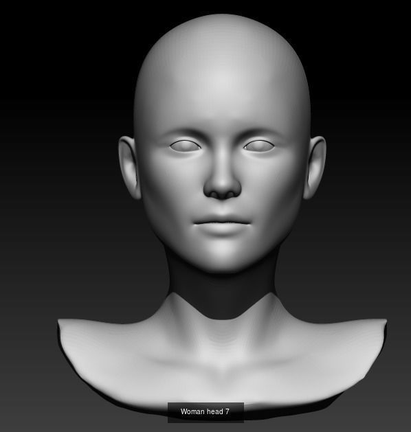 Female head pack 3D Model Collection_20