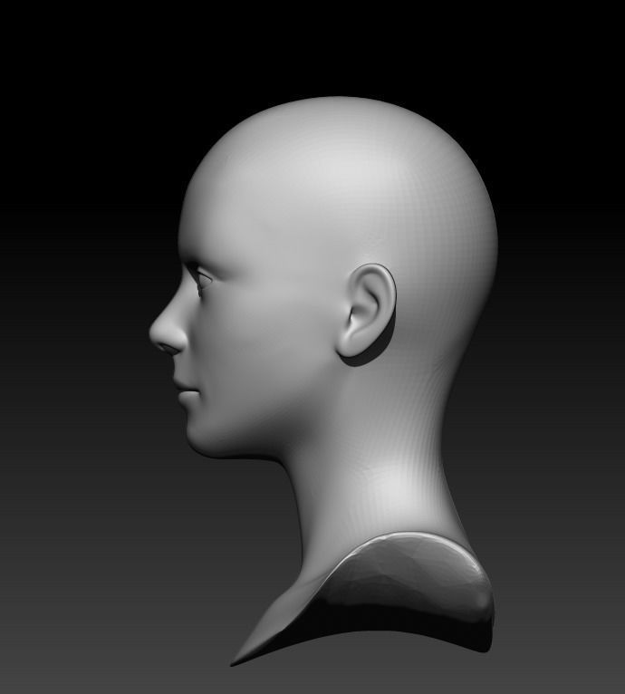 Female head pack 3D Model Collection_44