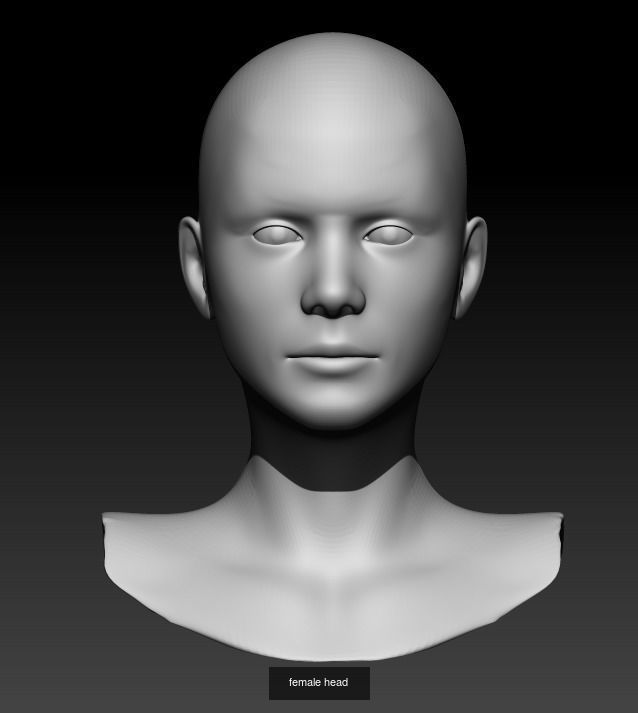 Female head pack 3D Model Collection_43