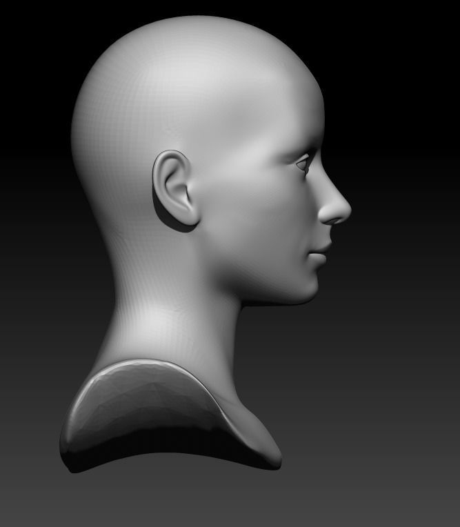 Female head pack 3D Model Collection_28