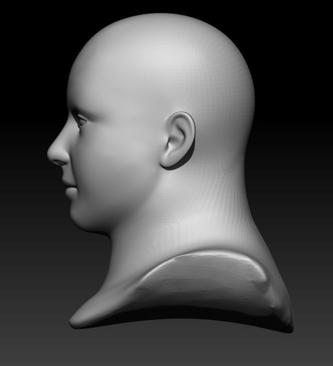 Female head pack 3D Model Collection_12