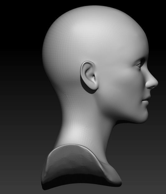 Female head pack 3D Model Collection_24