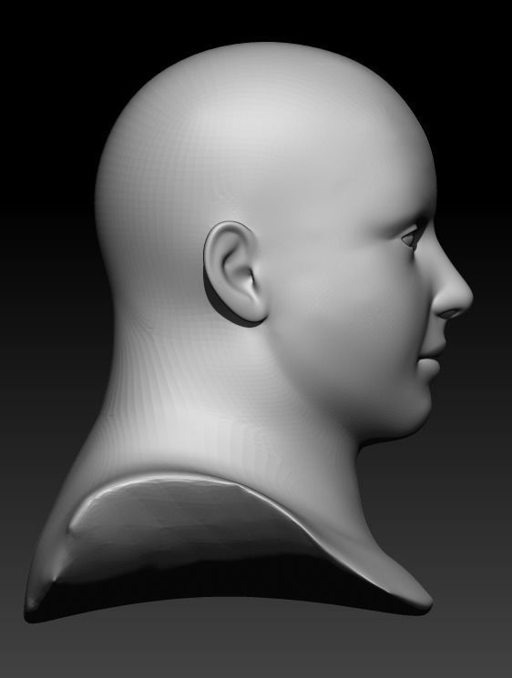 Female head pack 3D Model Collection_11