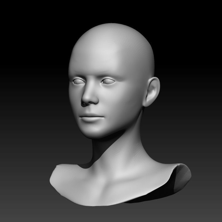Female head pack 3D Model Collection_45