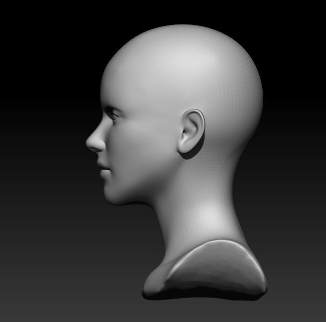 Female head pack 3D Model Collection_35