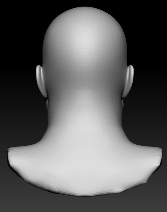 Female head pack 3D Model Collection_13