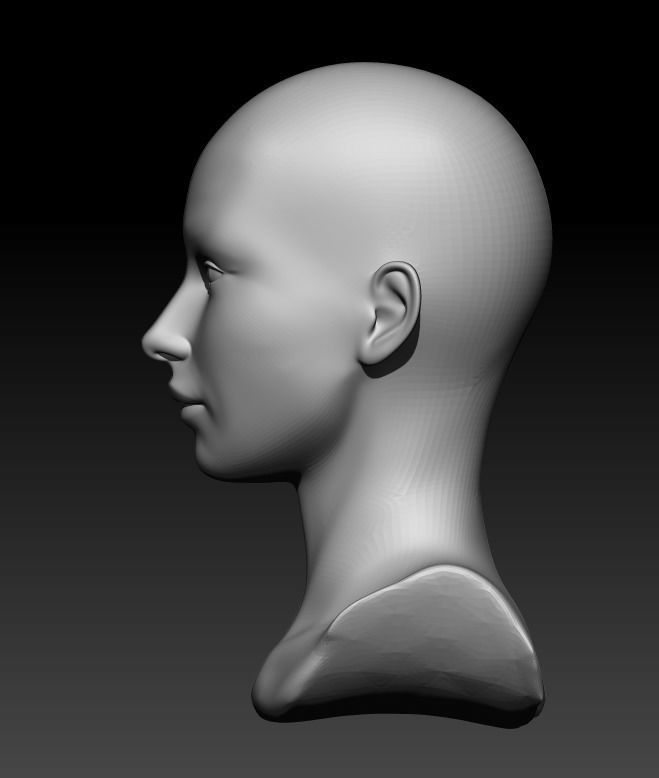 Female head pack 3D Model Collection_42