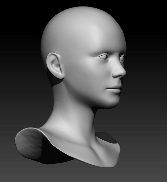 Female head pack 3D Model Collection_47