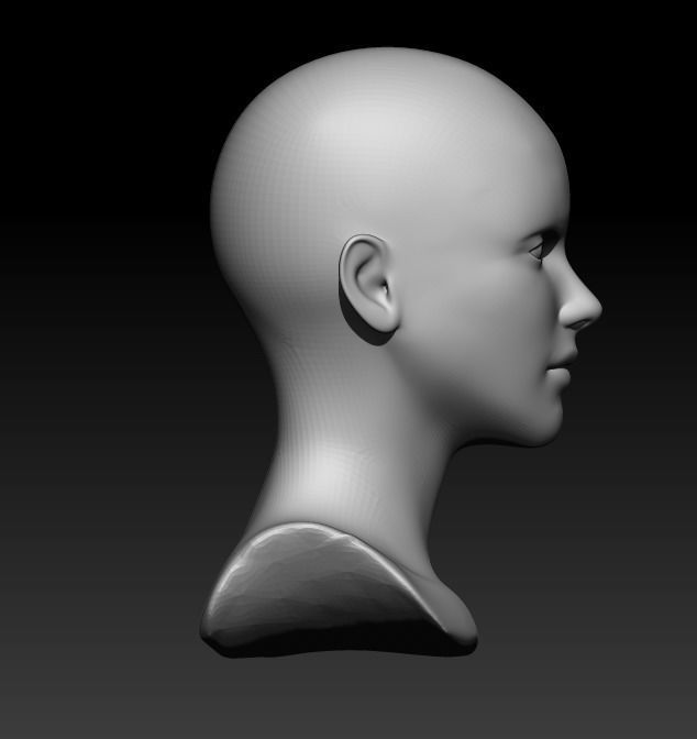 Female head pack 3D Model Collection_32