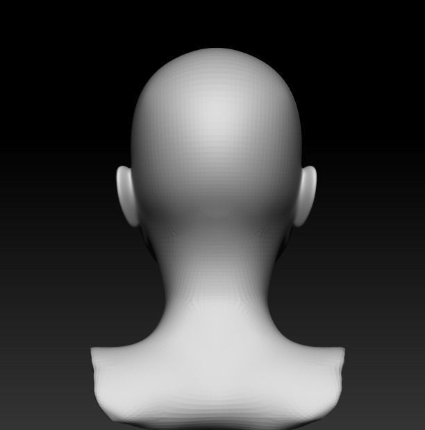 Female head pack 3D Model Collection_37