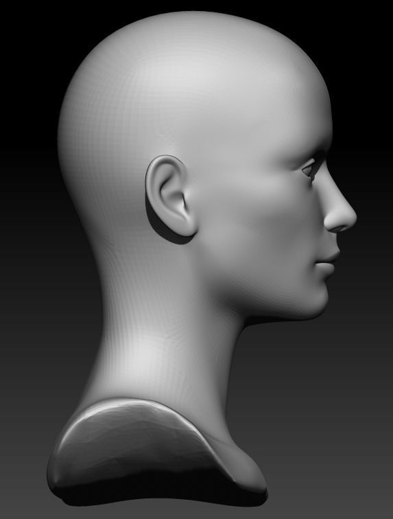 Female head pack 3D Model Collection_6