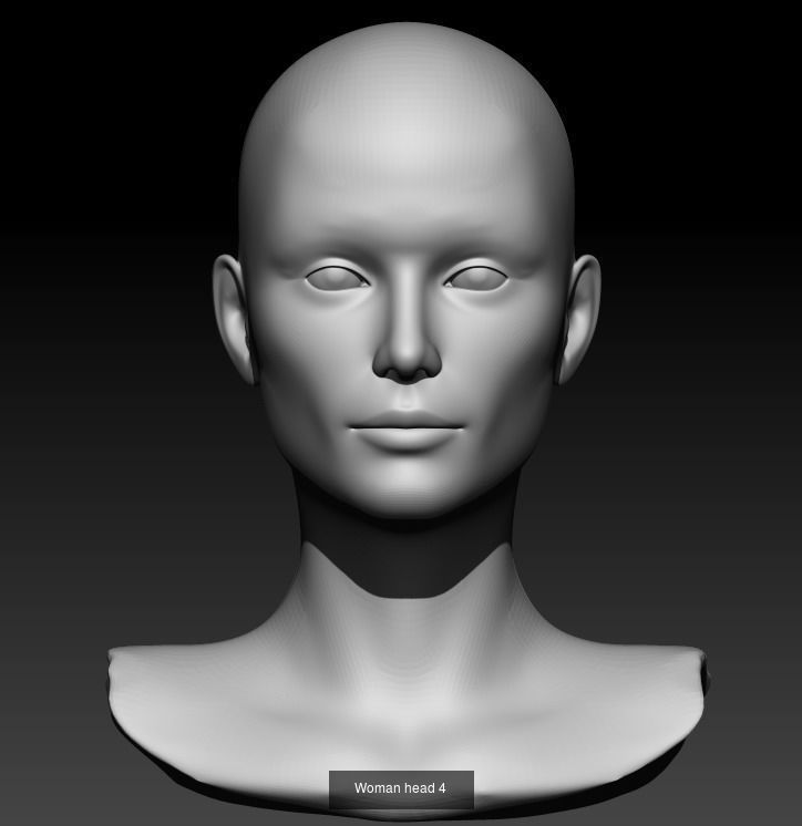 Female head pack 3D Model Collection_1