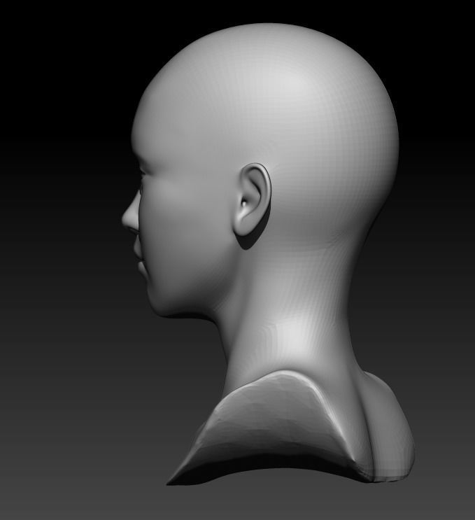 Female head pack 3D Model Collection_16