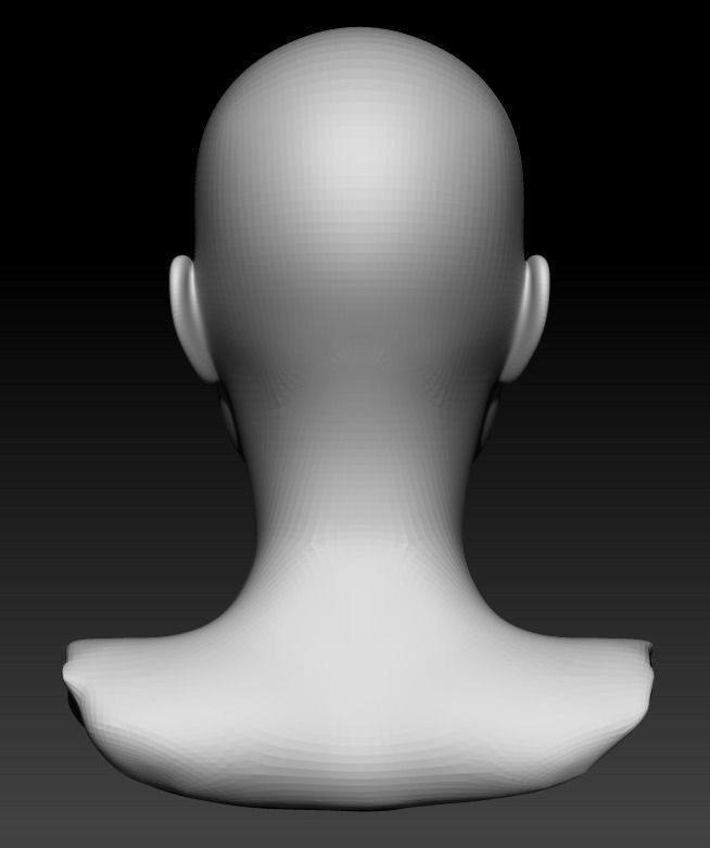 Female head pack 3D Model Collection_3