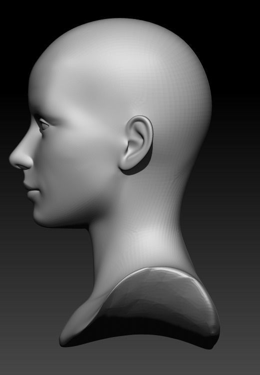 Female head pack 3D Model Collection_27