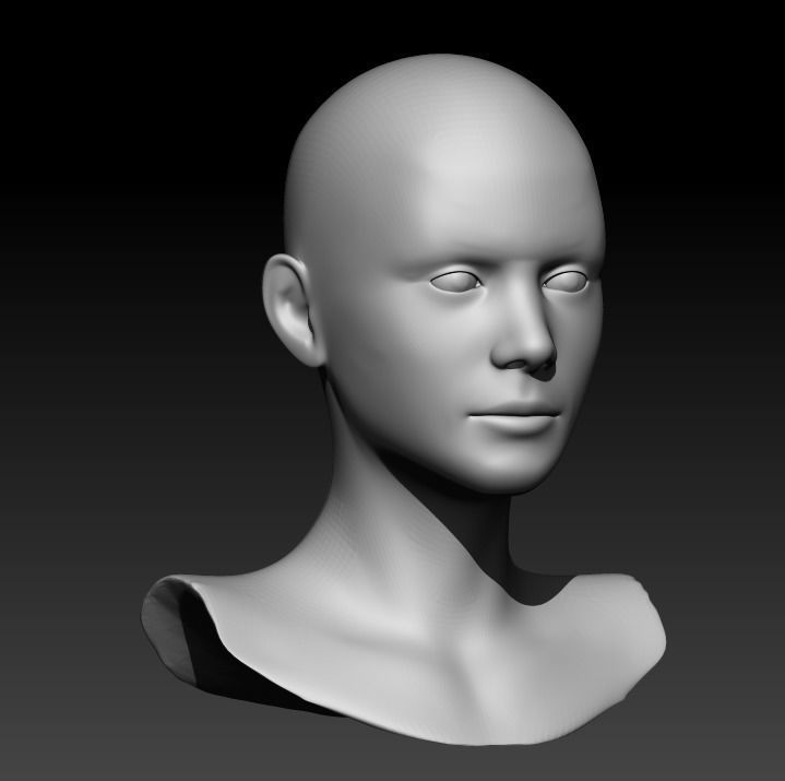 Female head pack 3D Model Collection_46