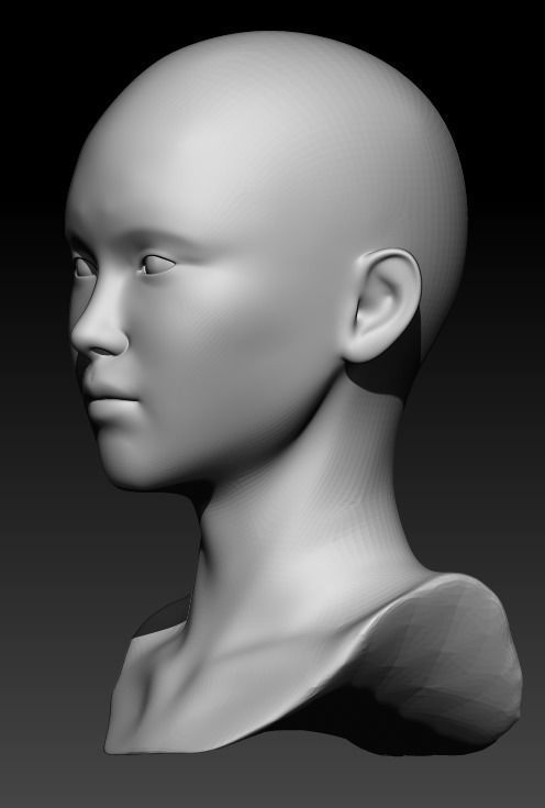 Female head pack 3D Model Collection_17