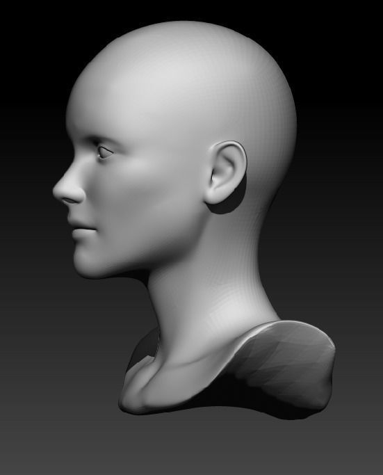 Female head pack 3D Model Collection_22