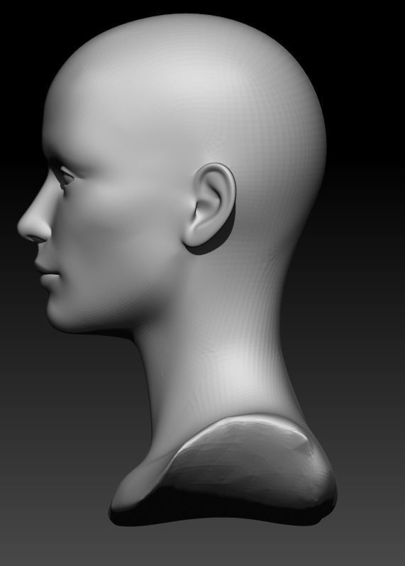 Female head pack 3D Model Collection_5