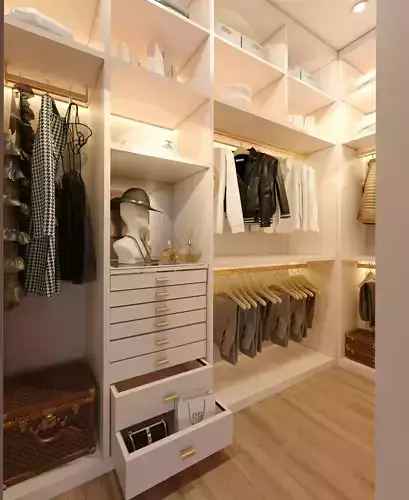 Classic Walk-in closet