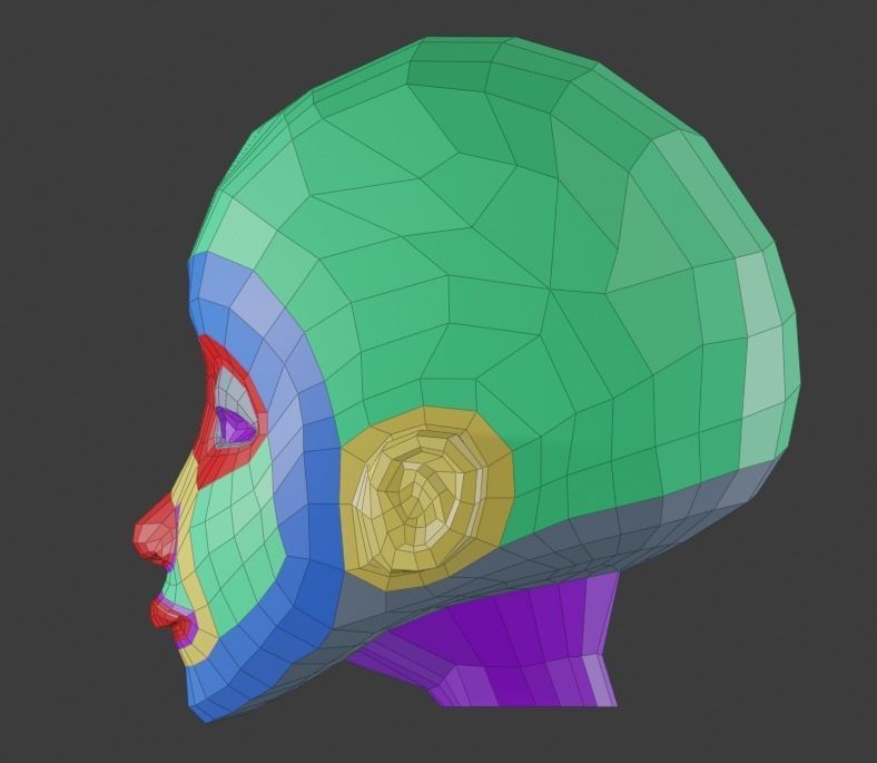 Stylized Head Base Free 3D model_6