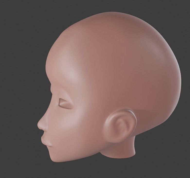 Stylized Head Base Free 3D model_2