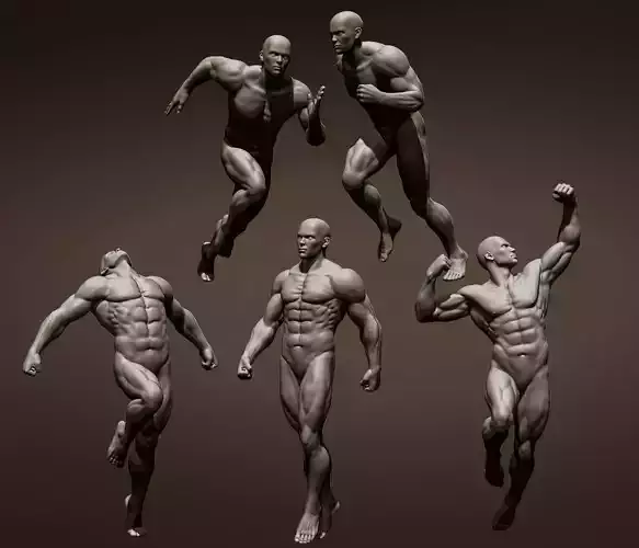 Male full body poses  Free 3D model