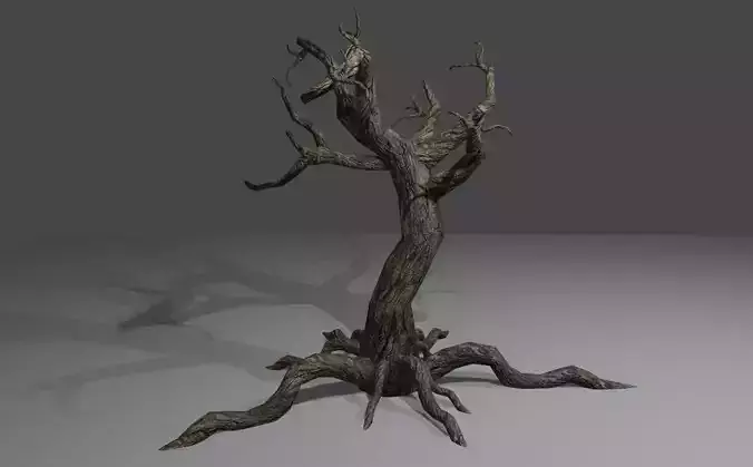 Dry Tree - Arvore Seca Low-poly 3D model