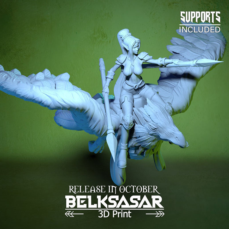 Raven Rider 3D print model_14