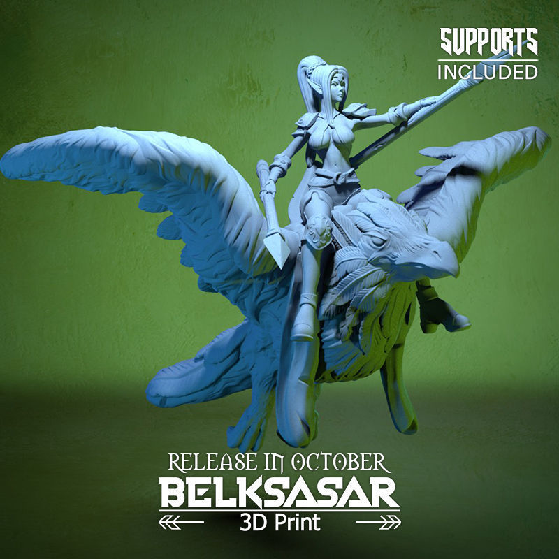 Raven Rider 3D print model_7