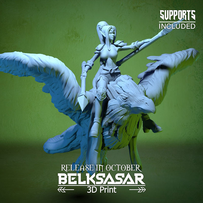 Raven Rider Normal and Topless 3D print model_1