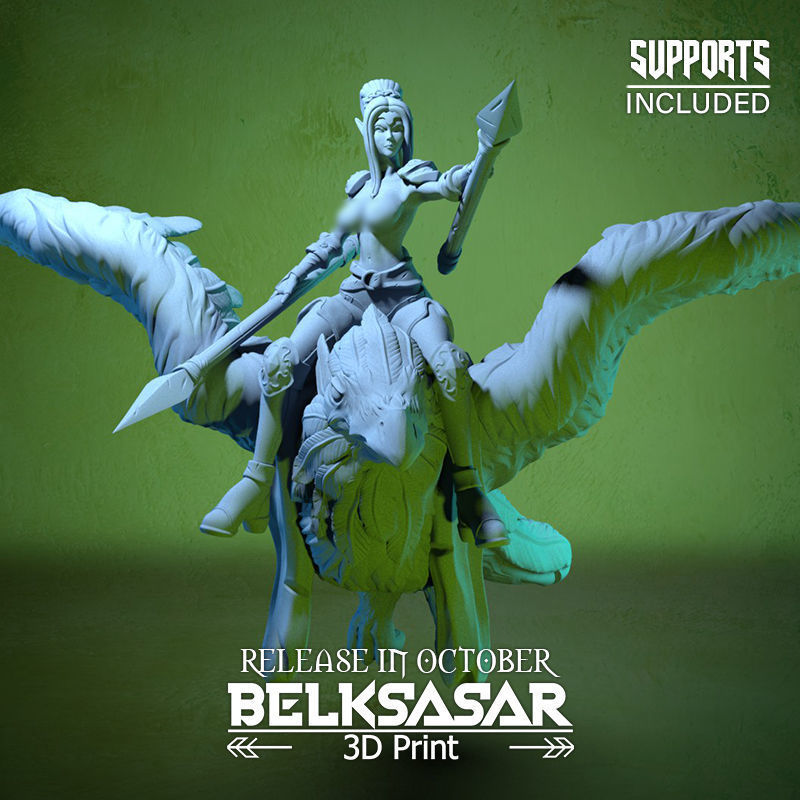 Raven Rider Normal and Topless 3D print model_3