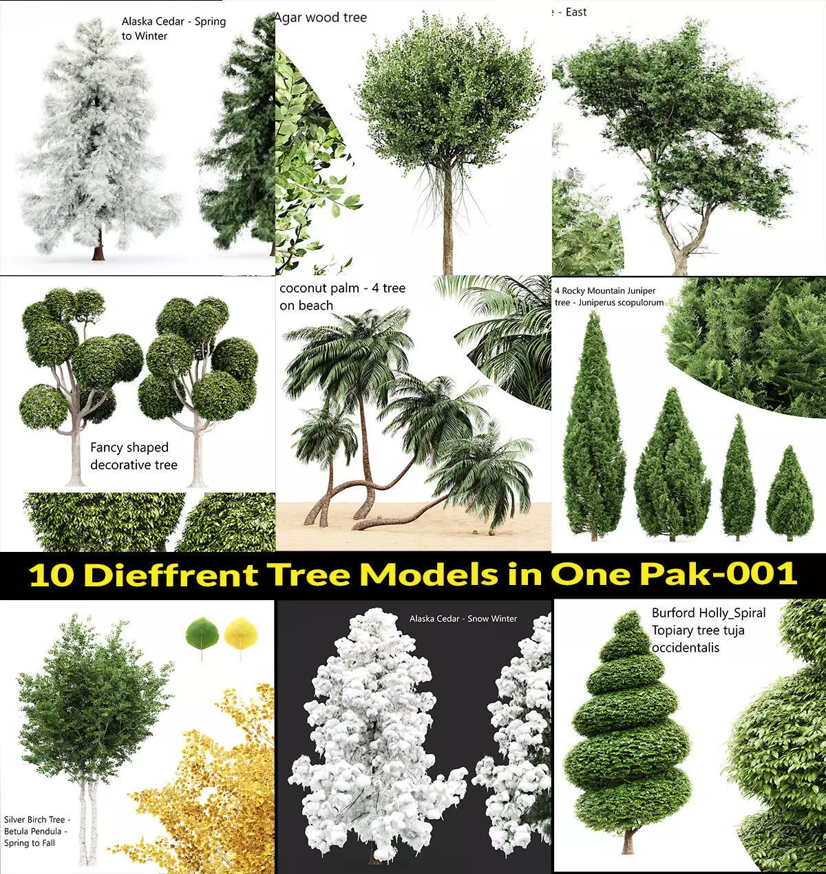 10 Dieffrent Tree Models in One Pak 001 3D model