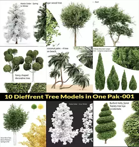 10 Dieffrent Tree Models in One Pak 001 3D model