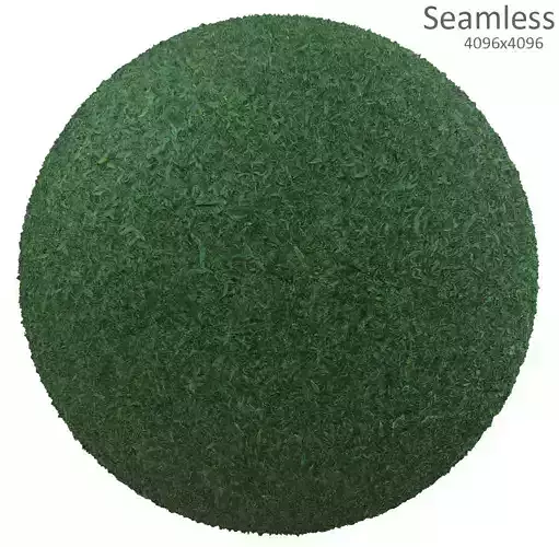 grass texture Texture