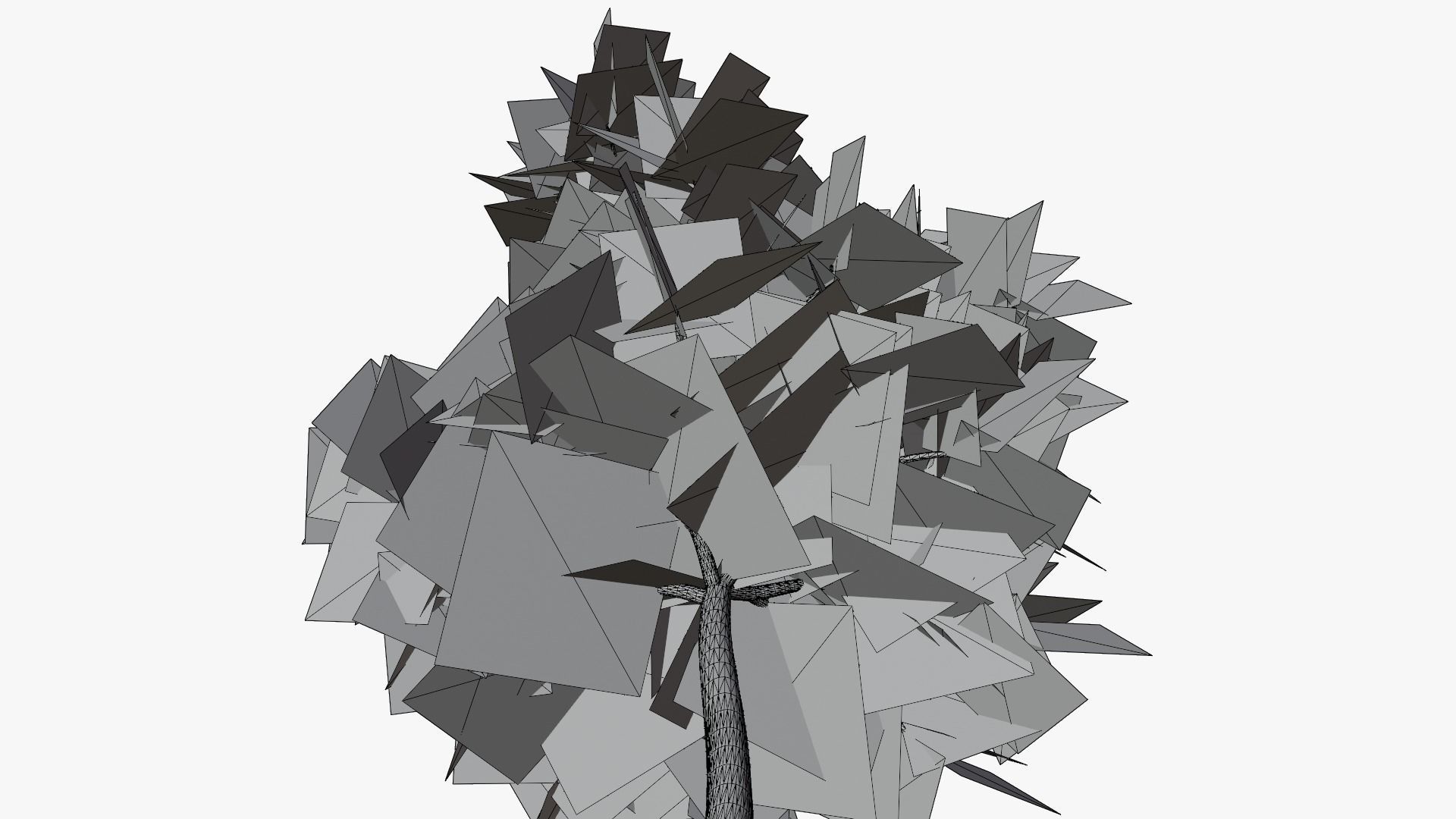 White Birch v1 Low-poly 3D model_6