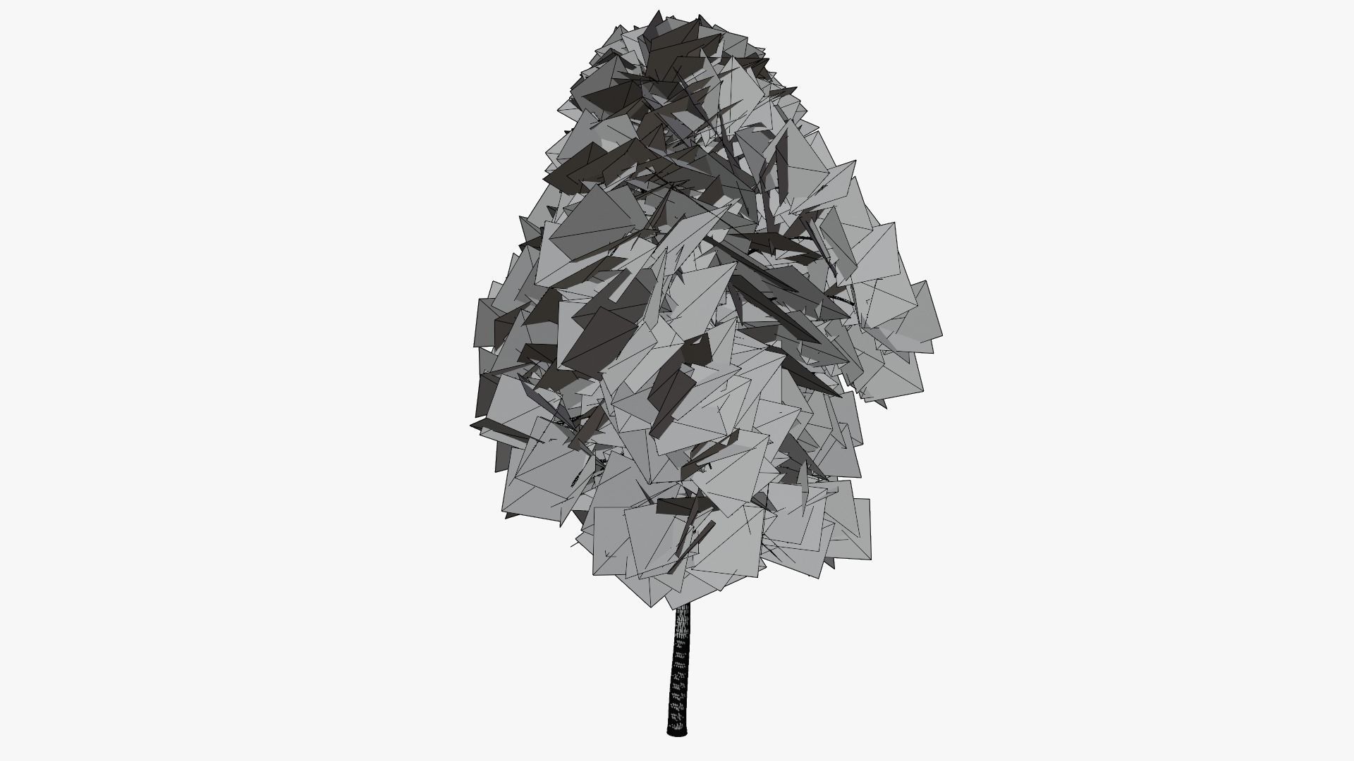 White Birch v1 Low-poly 3D model_8